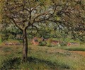 Manzano en Eragny 1884 Camille Pissarro paisaje